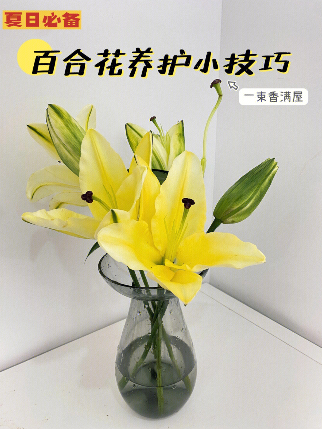 百合醒花步骤图片