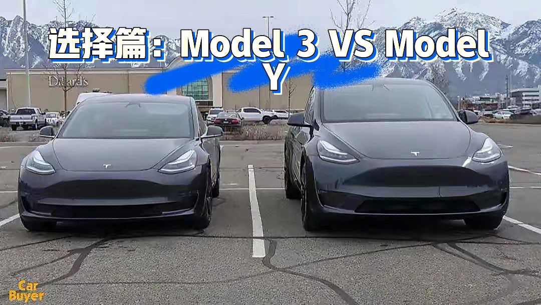 纠结选择model3还是modely看完给你答案