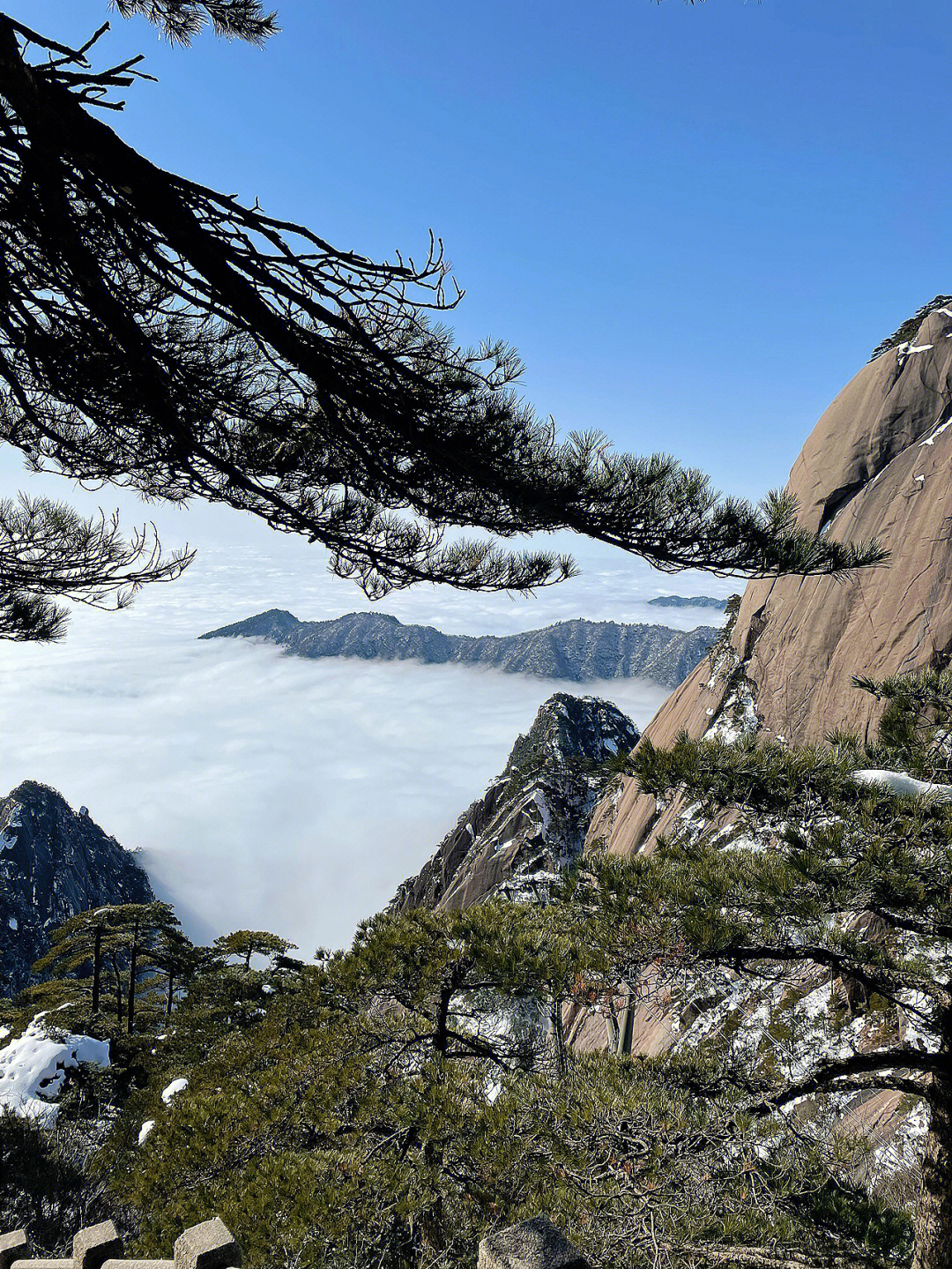 富婆真快乐黄山山山图片