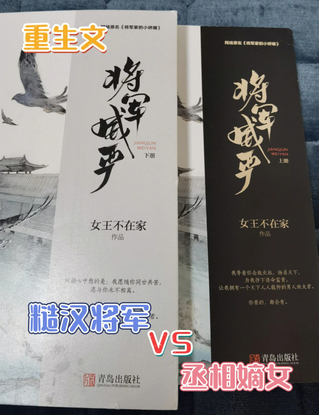 糙汉将军配世家贵女将军威严