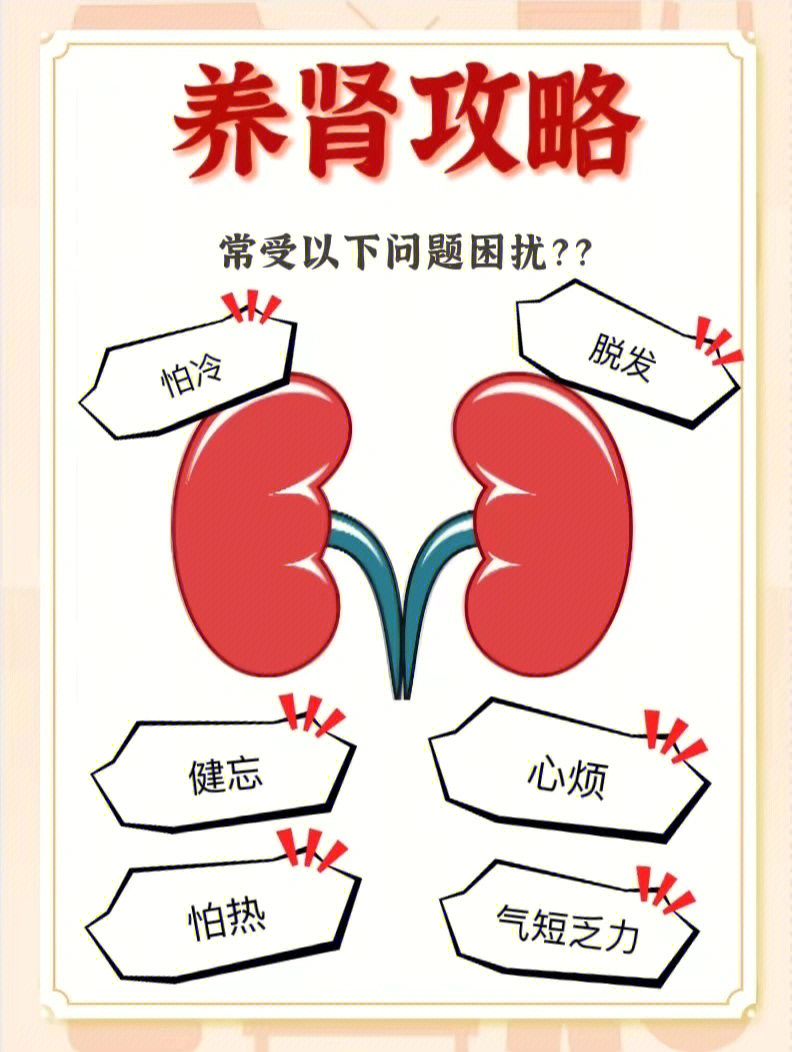 养肾养命养肾攻略收藏好和老公一起喝