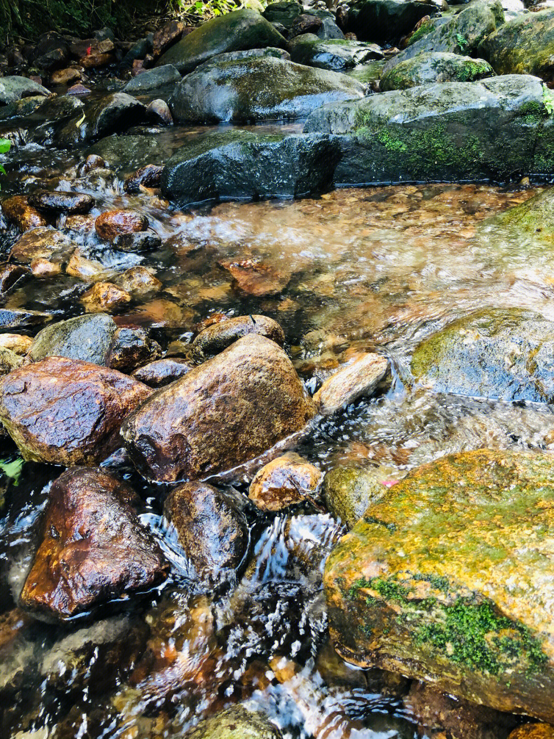 山间小溪车村图片