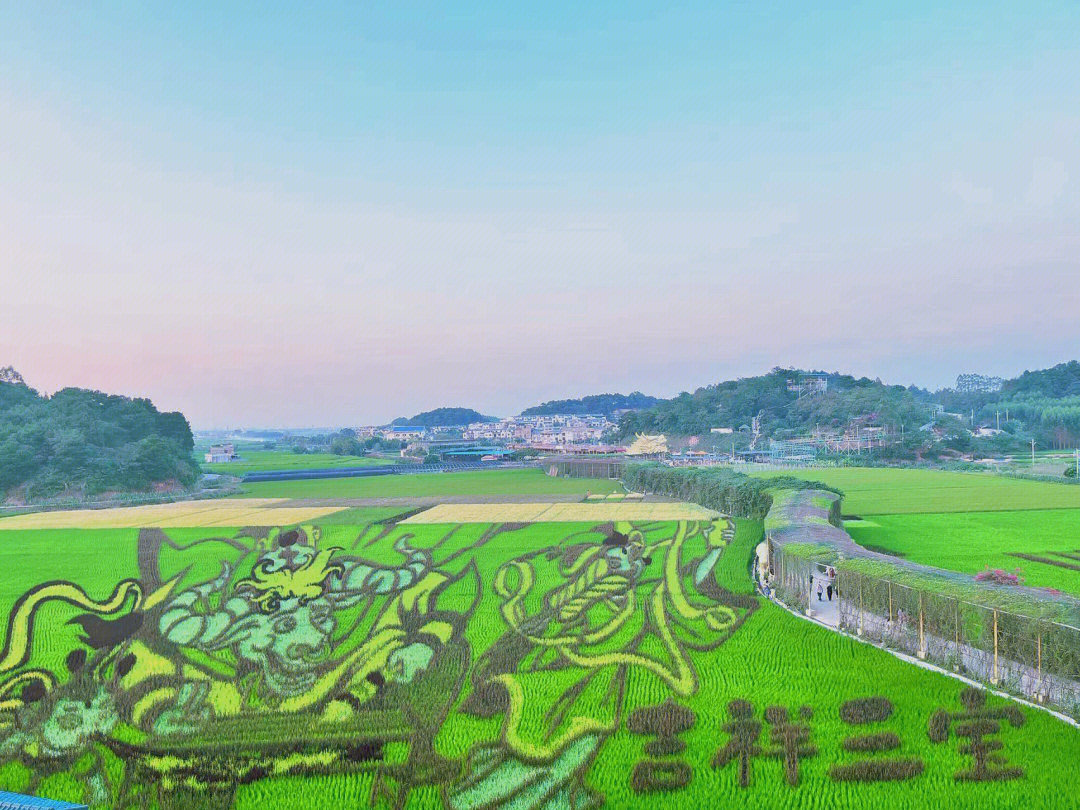 宾阳古辣油菜花导航图片