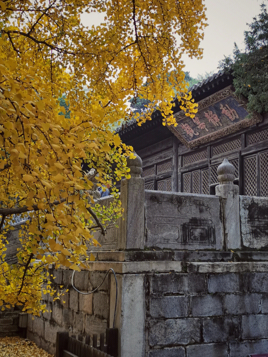 北京大觉寺航拍图片