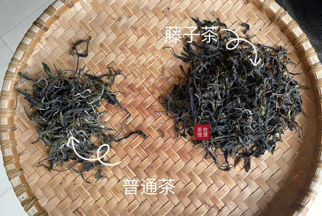 珍稀品种千年古树野生永德藤子茶