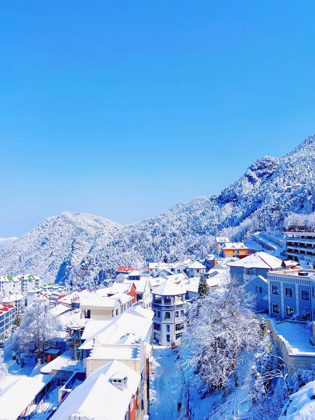 庐山冬天雪景图片