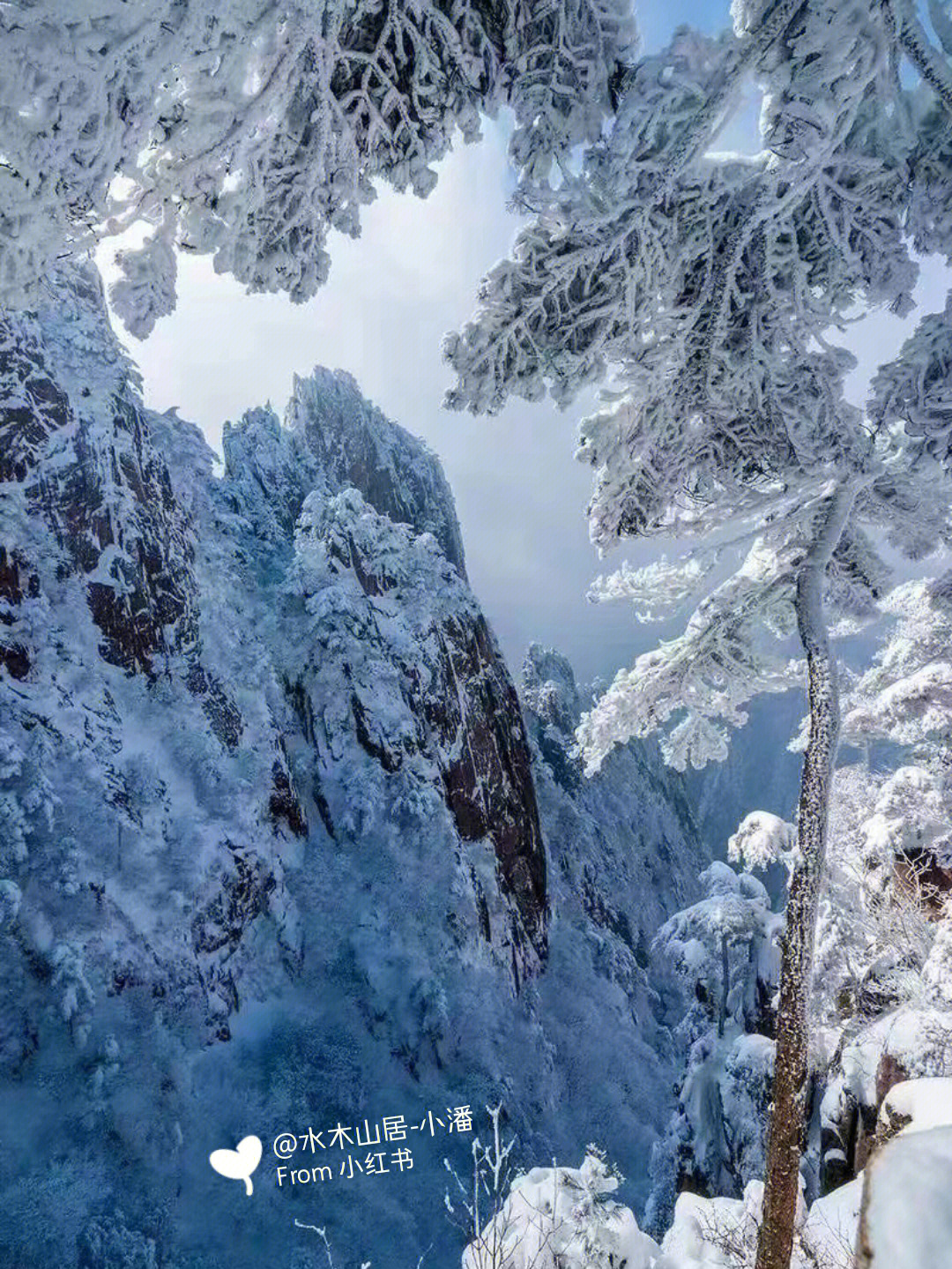 黄山雪景