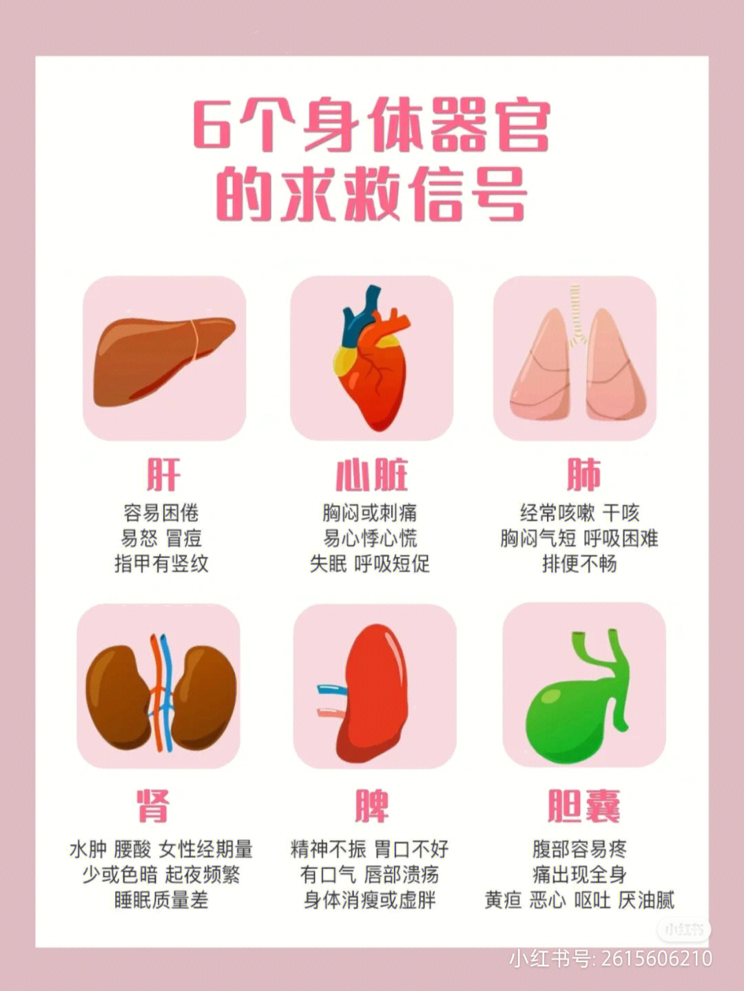 怀孕五脏六腑挤压图图片