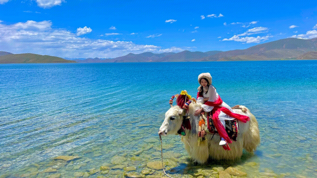 西藏文案旅游文案羊湖