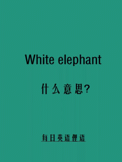 white elephant sale图片