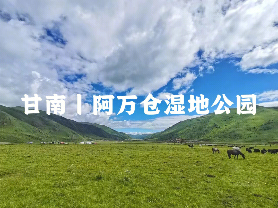 阿万仓湿地公园简介图片