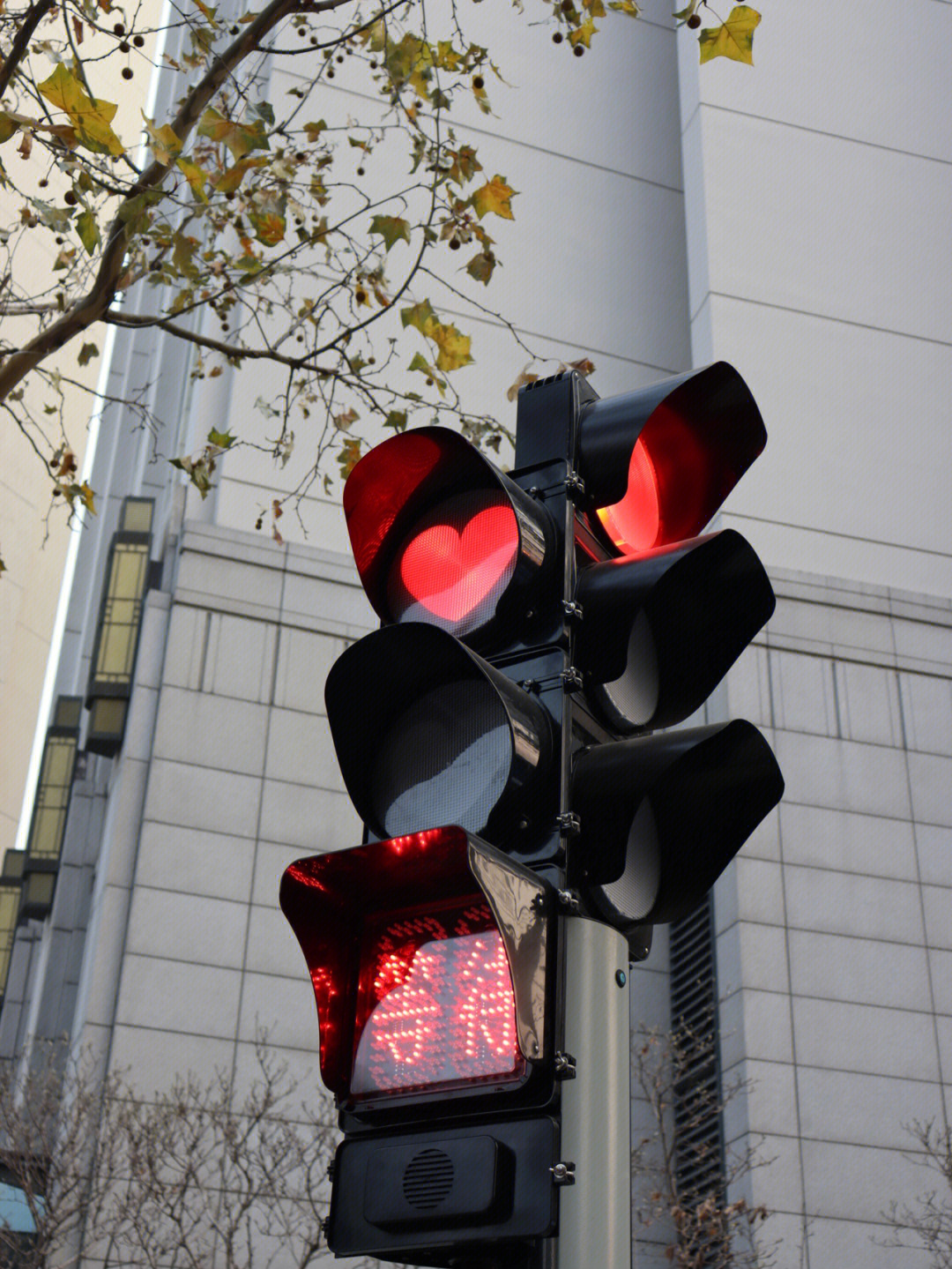 北京现爱心状红绿灯图片