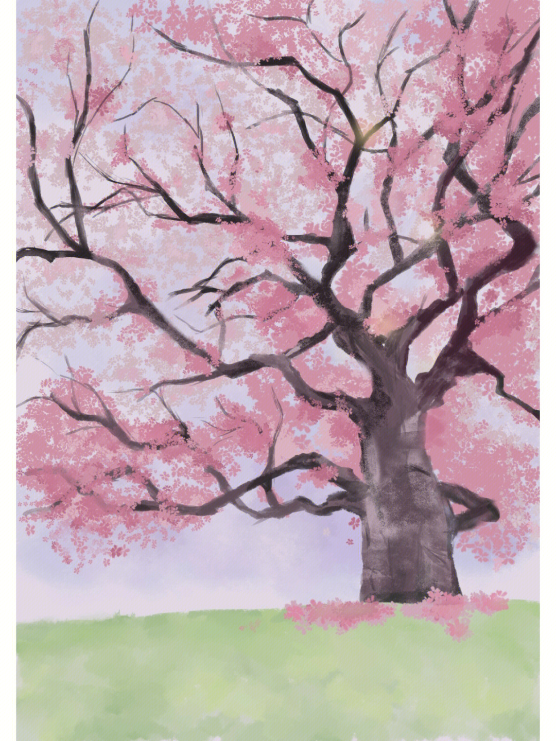 樱花树水彩画法图片