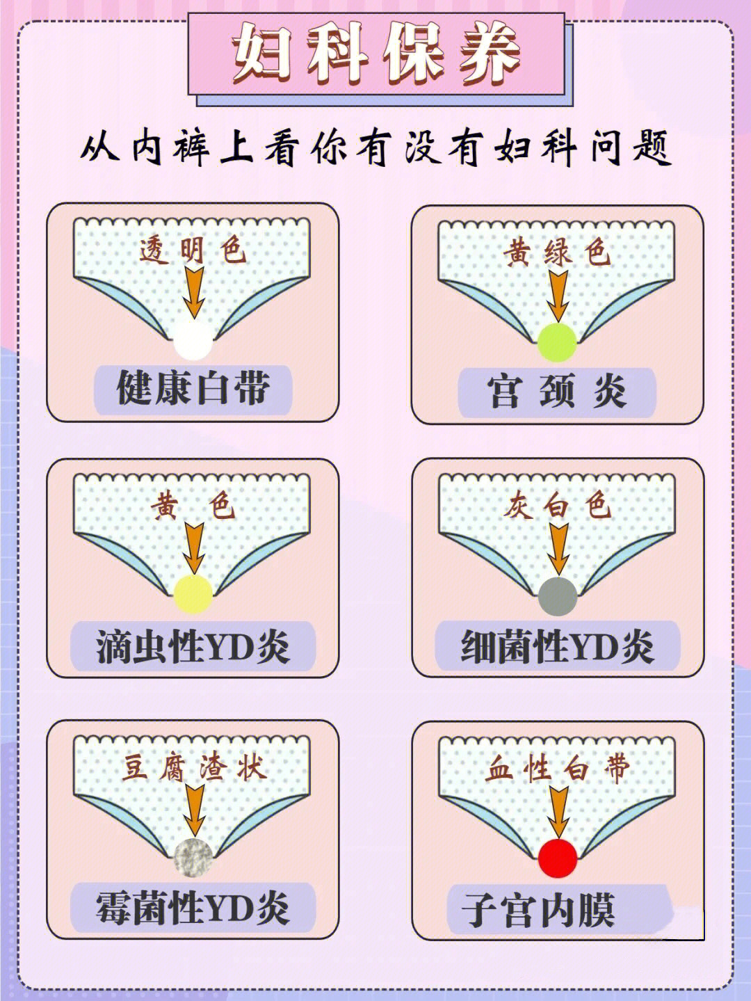 内裤看妇科图片