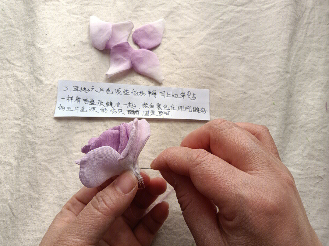 紫丁香花程式图片