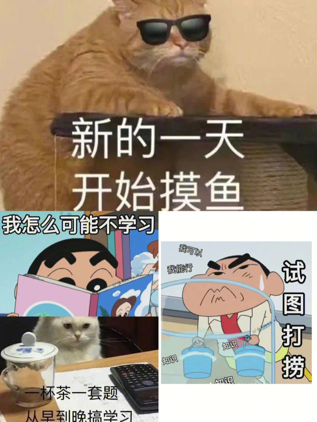 这些表情包像不像在家学习的你