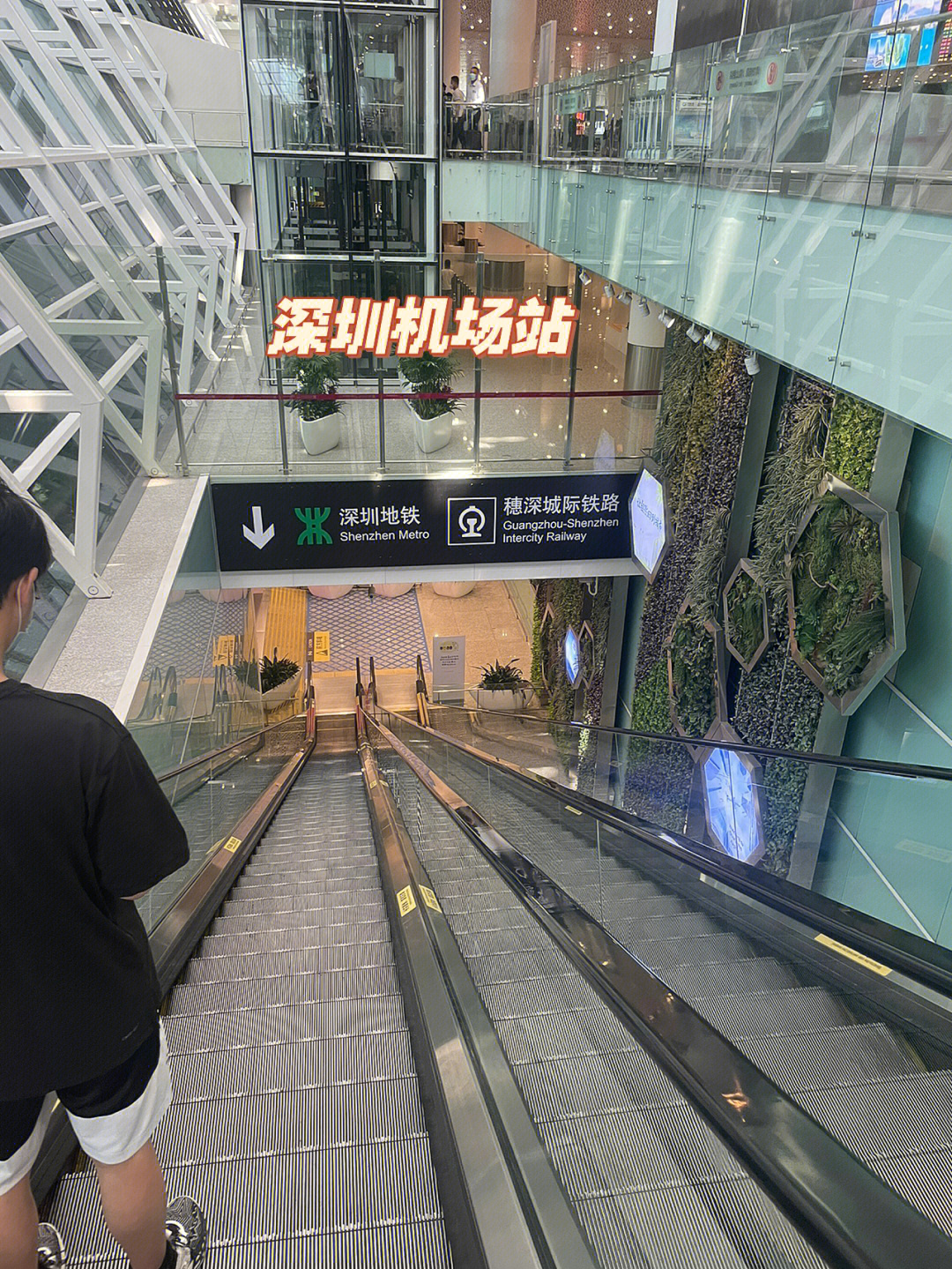深圳机场站,进站与出站攻略