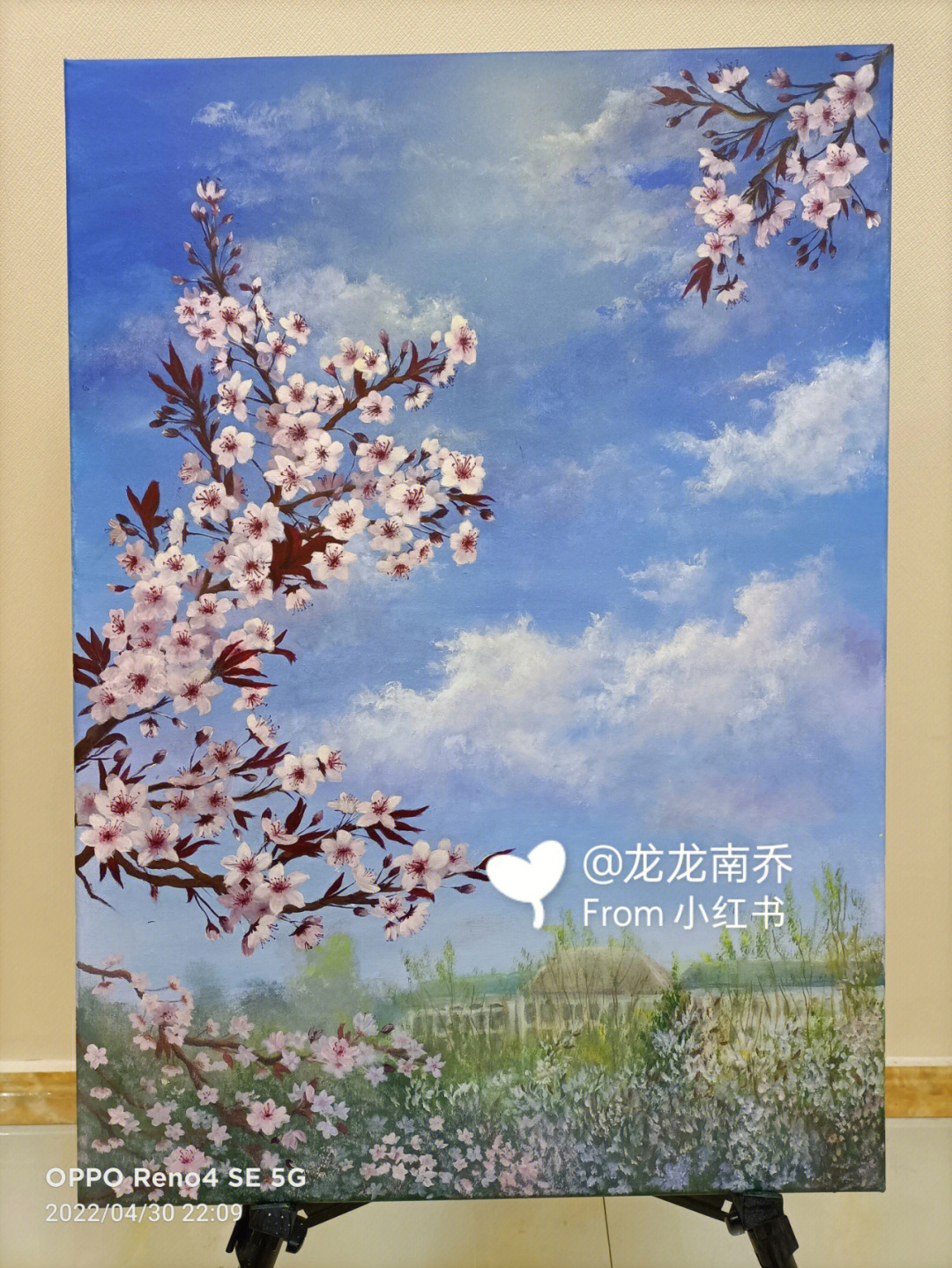 紫叶李花 手绘图片