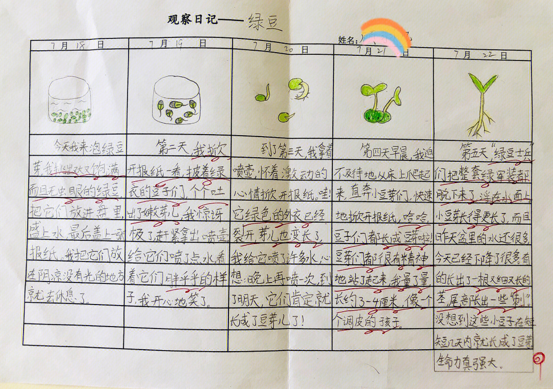 四上习作写观察日记