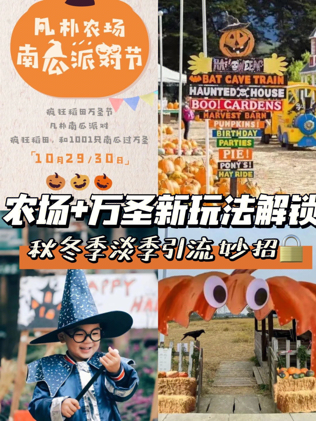 凡朴农场在哪里门票图片