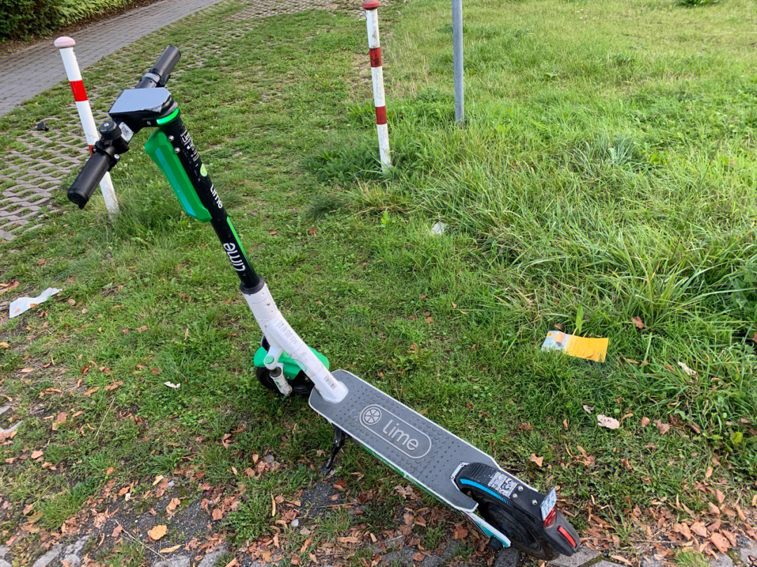 德国乐scooter图片
