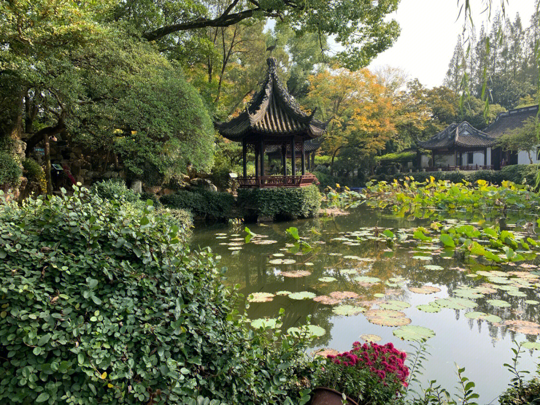 青浦曲水园景点介绍图片