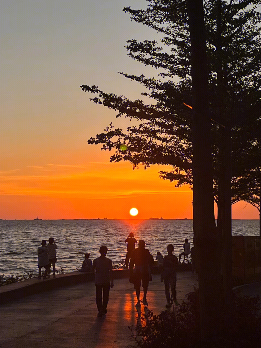 治愈系夕阳谁又能拒绝呢