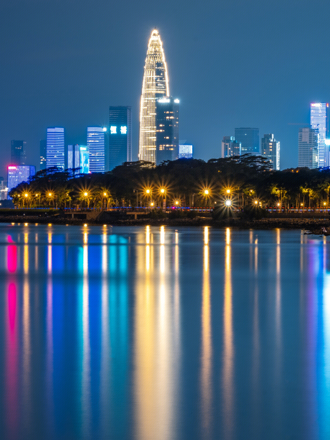 深圳红树湾夜景图片