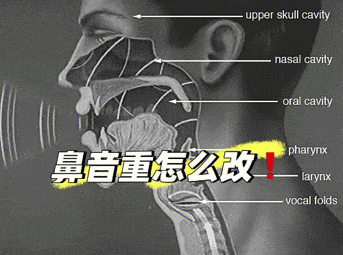 不会还有人鼻音鼻腔共鸣傻傻分不清吧