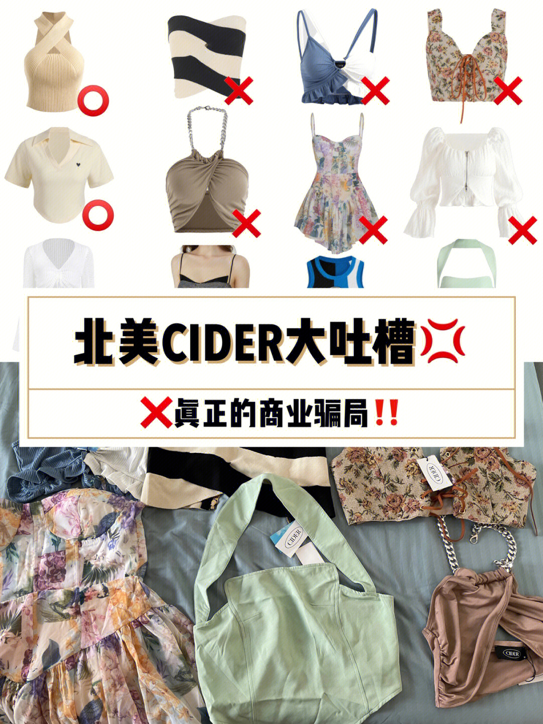 cider创始人图片