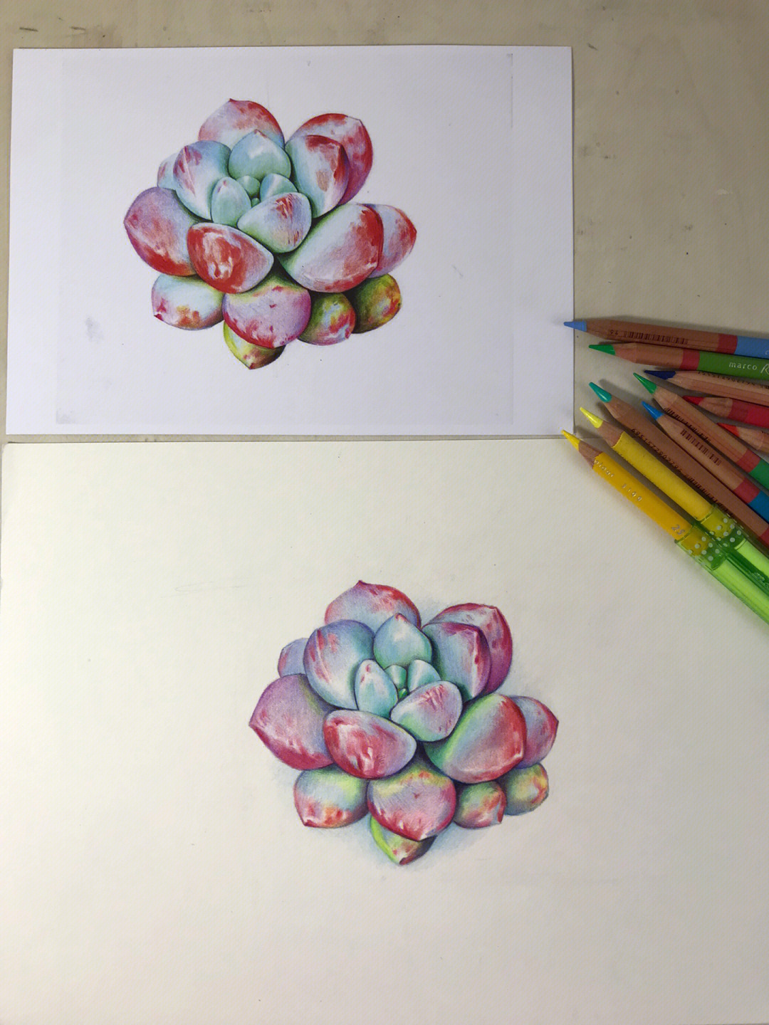 水溶性彩铅画 植物图片