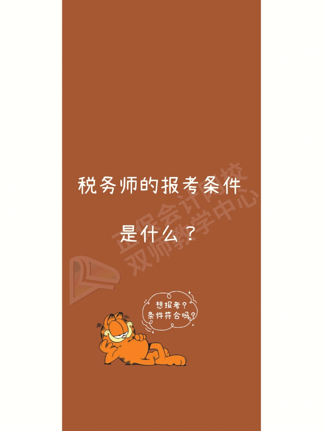 税务师报考条件