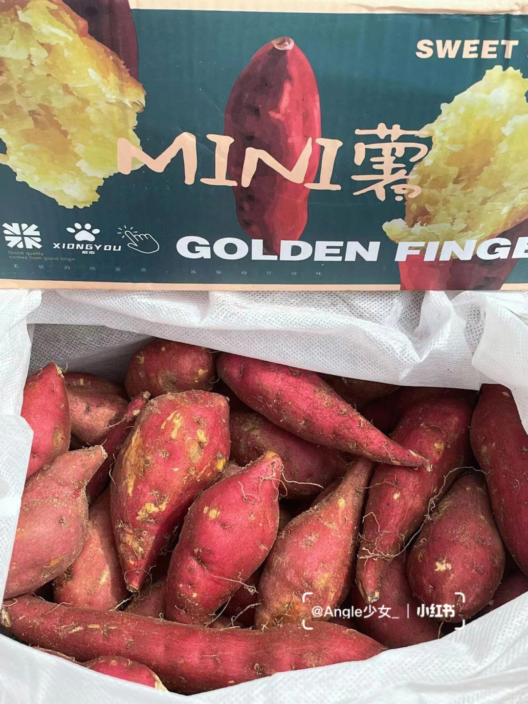 mini板栗小金薯