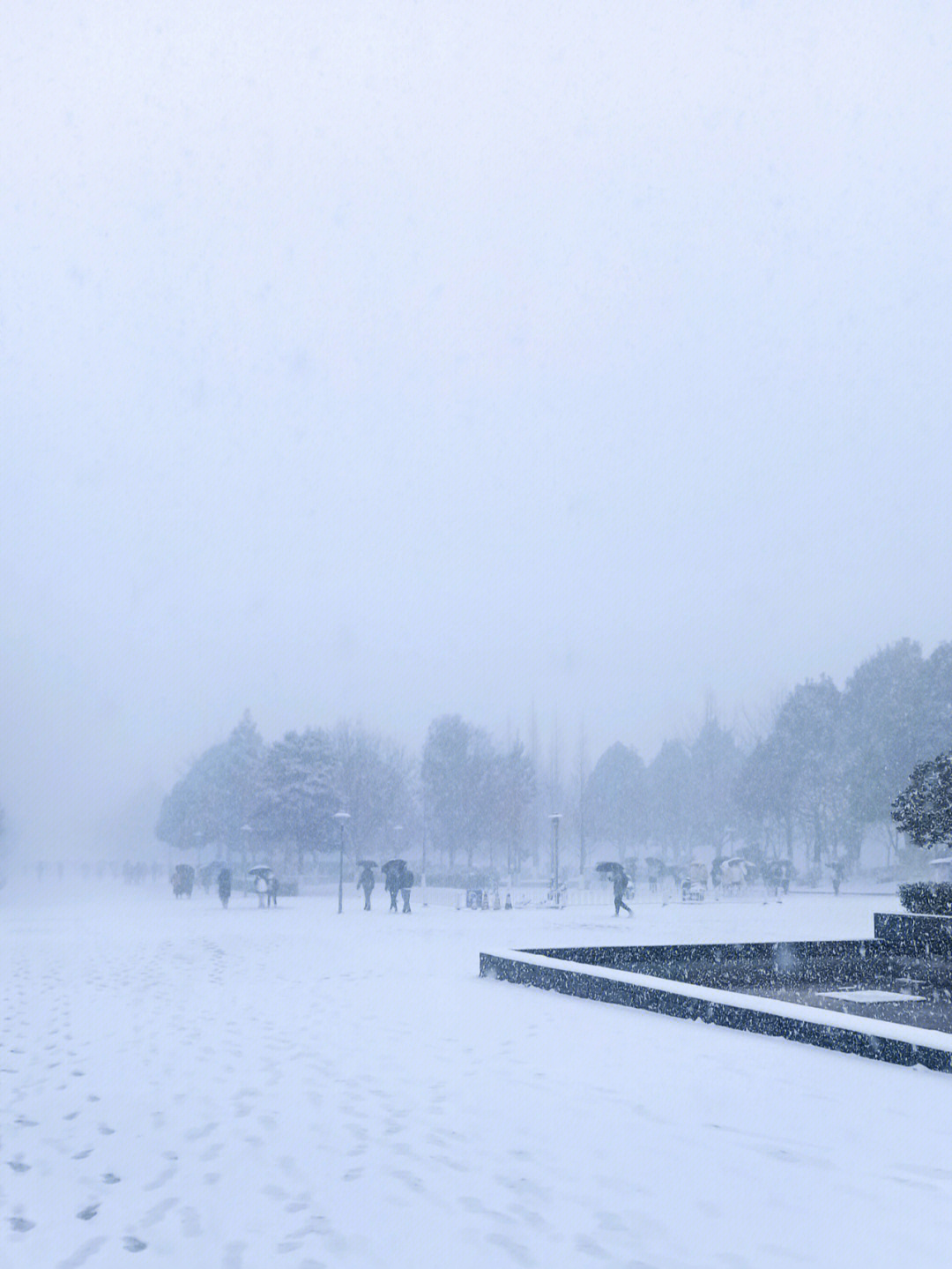 昆明下雪了吗2022图片