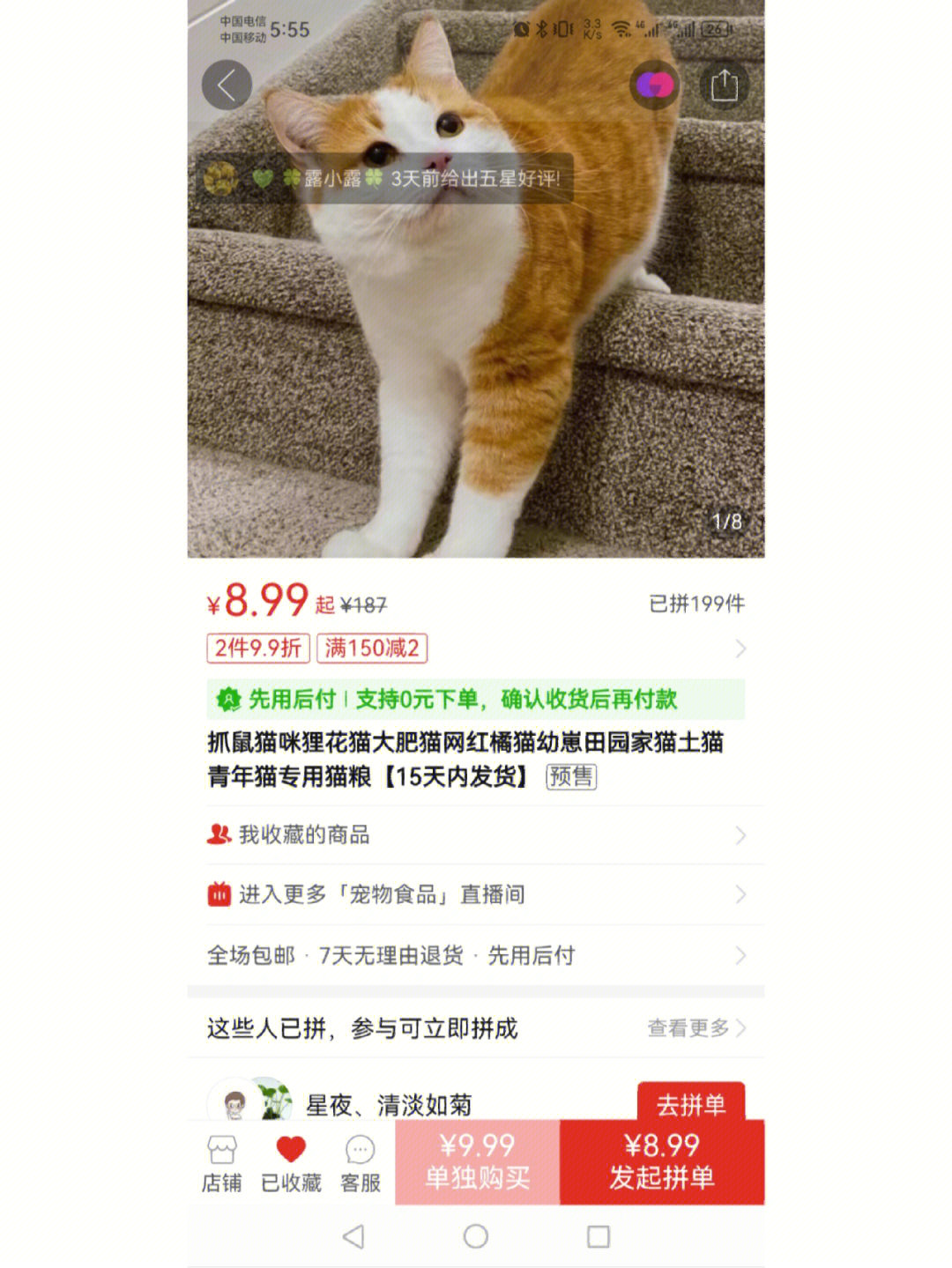 怎么买猫便宜图片