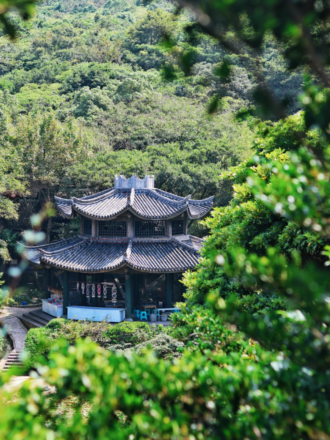 岳池郑家桃花岛图片