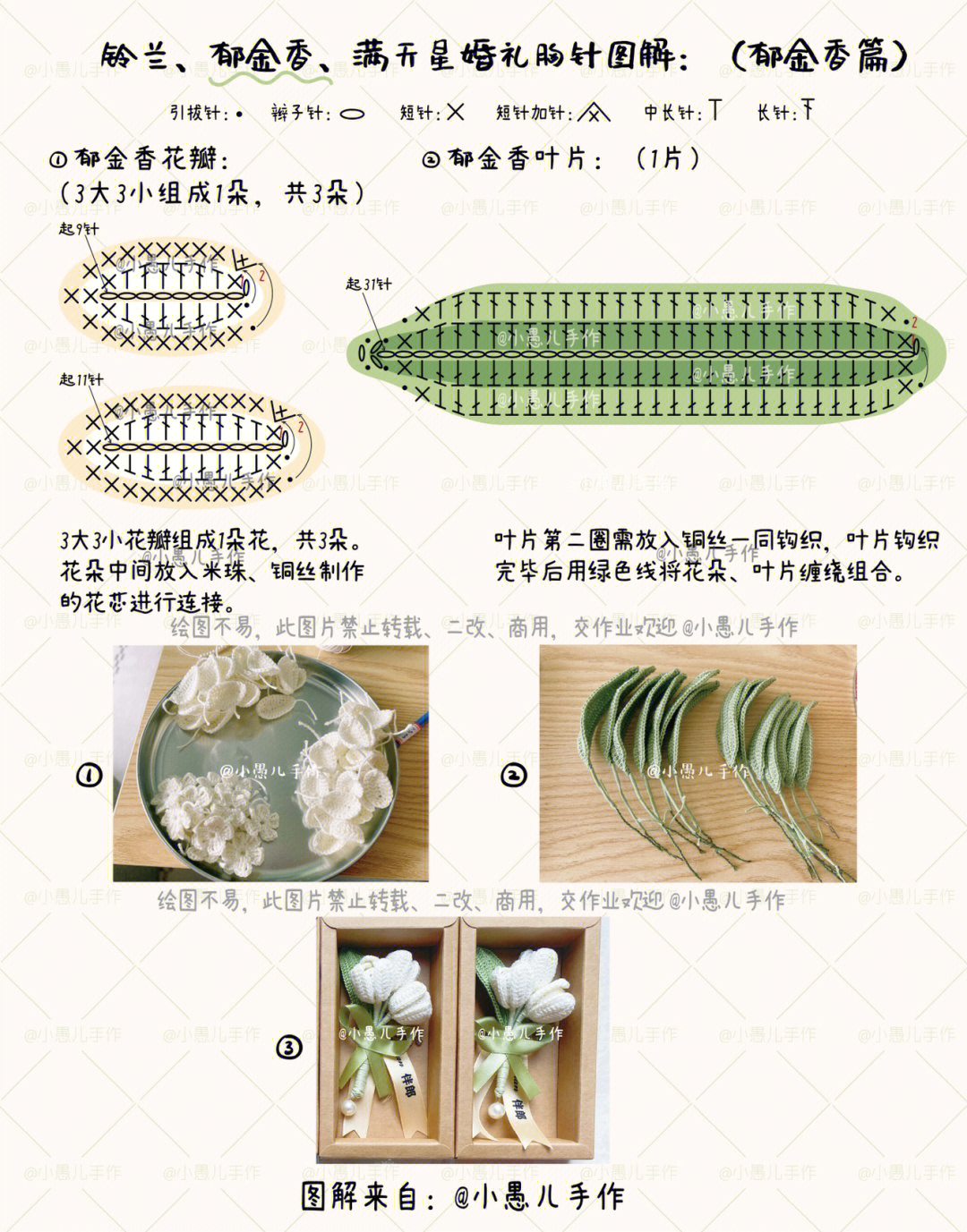 郁金香的结构示意图图片