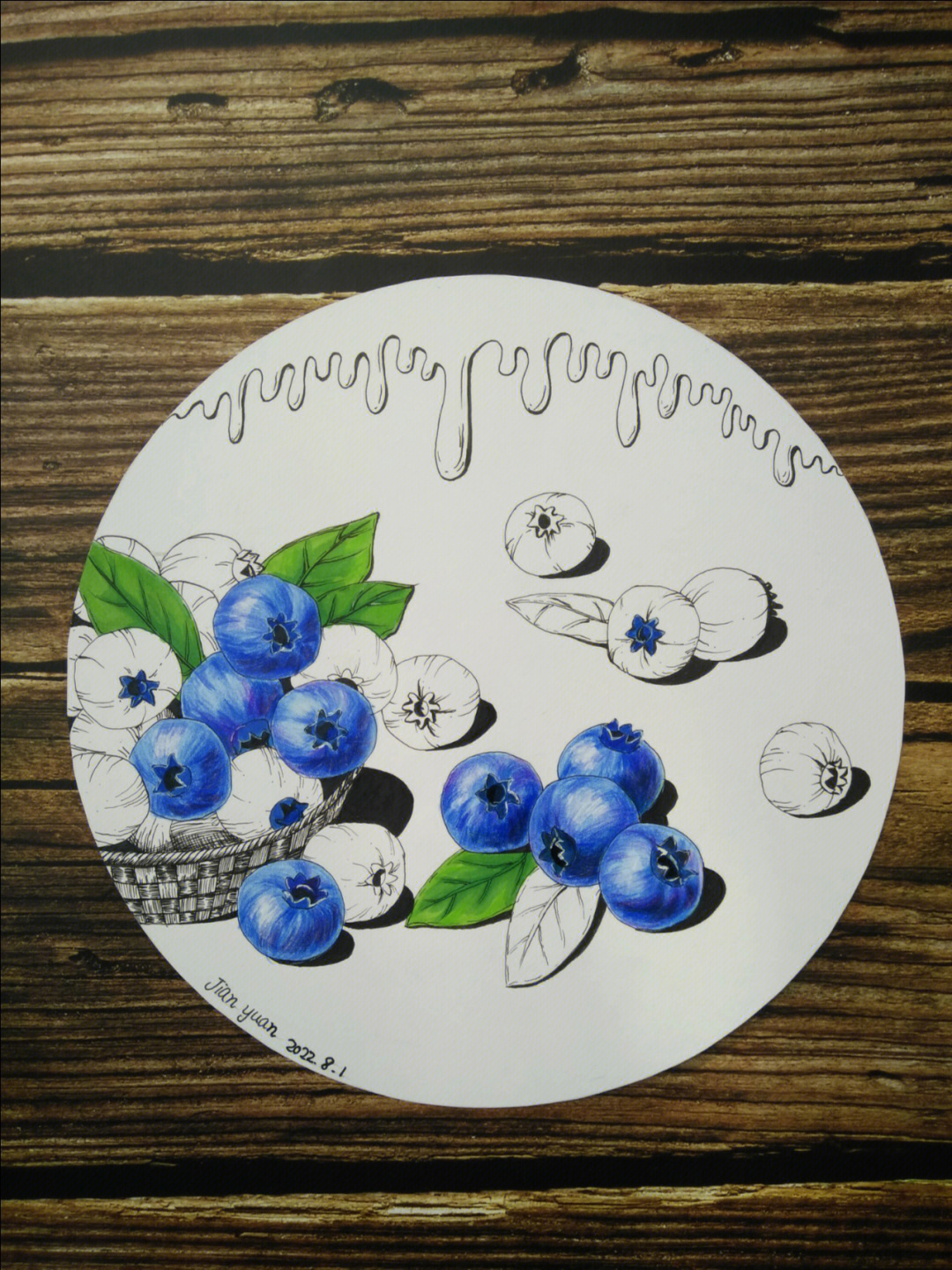 蓝莓绘画线描马克笔彩铅插画儿童画原创