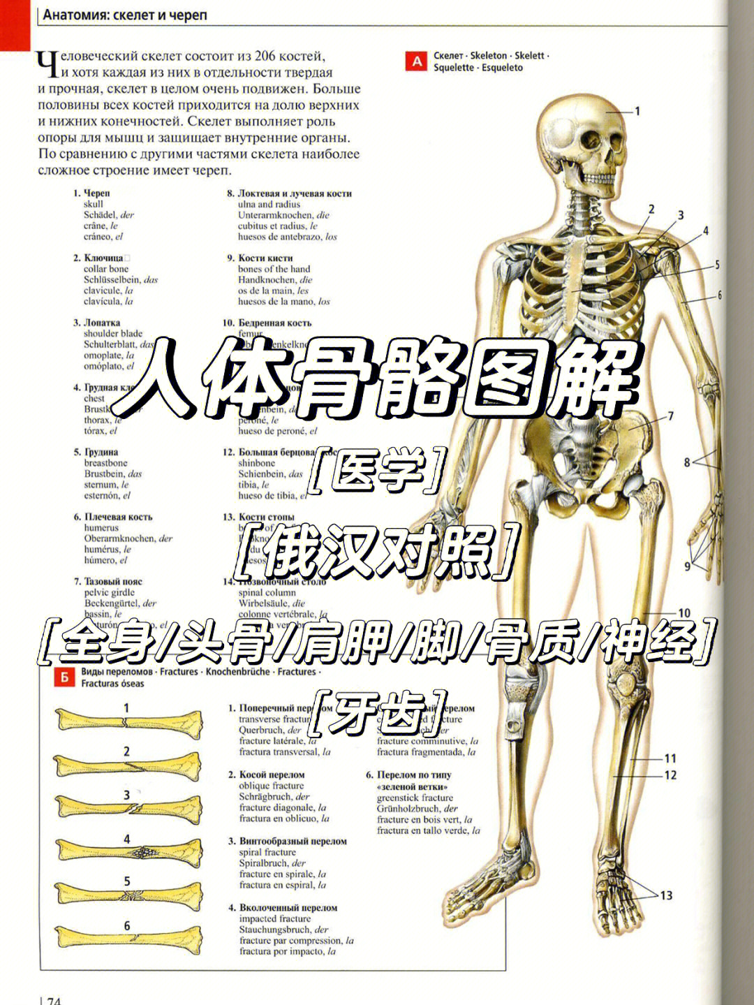 人体外骨骼多少钱图片