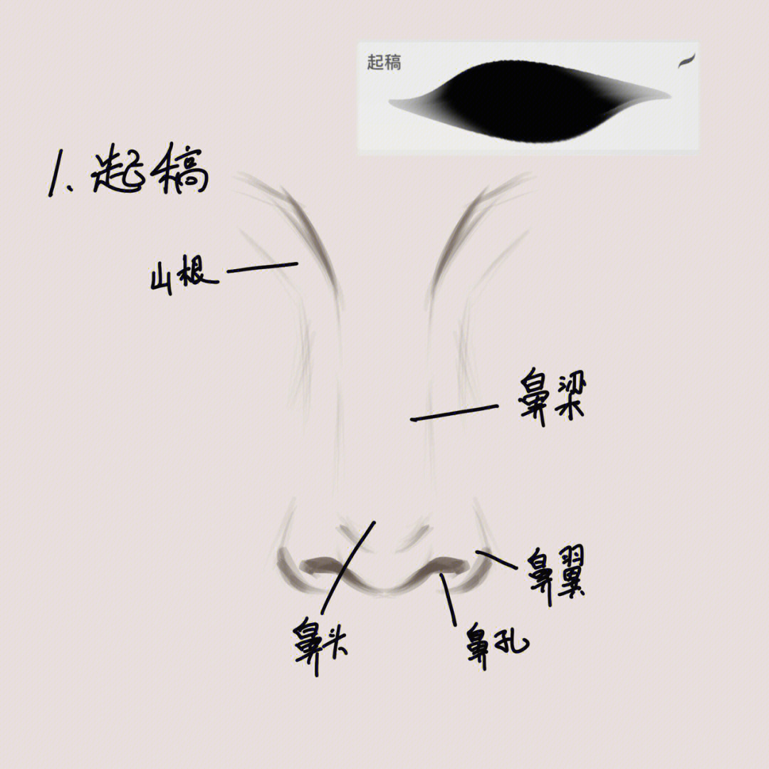 鼻子教程来啦赶紧收藏起来