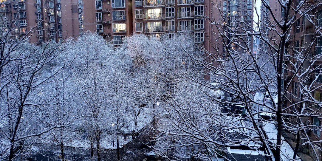 北京3月的雪