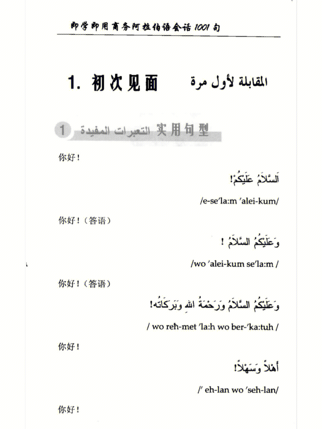 阿拉伯语难学吗图片