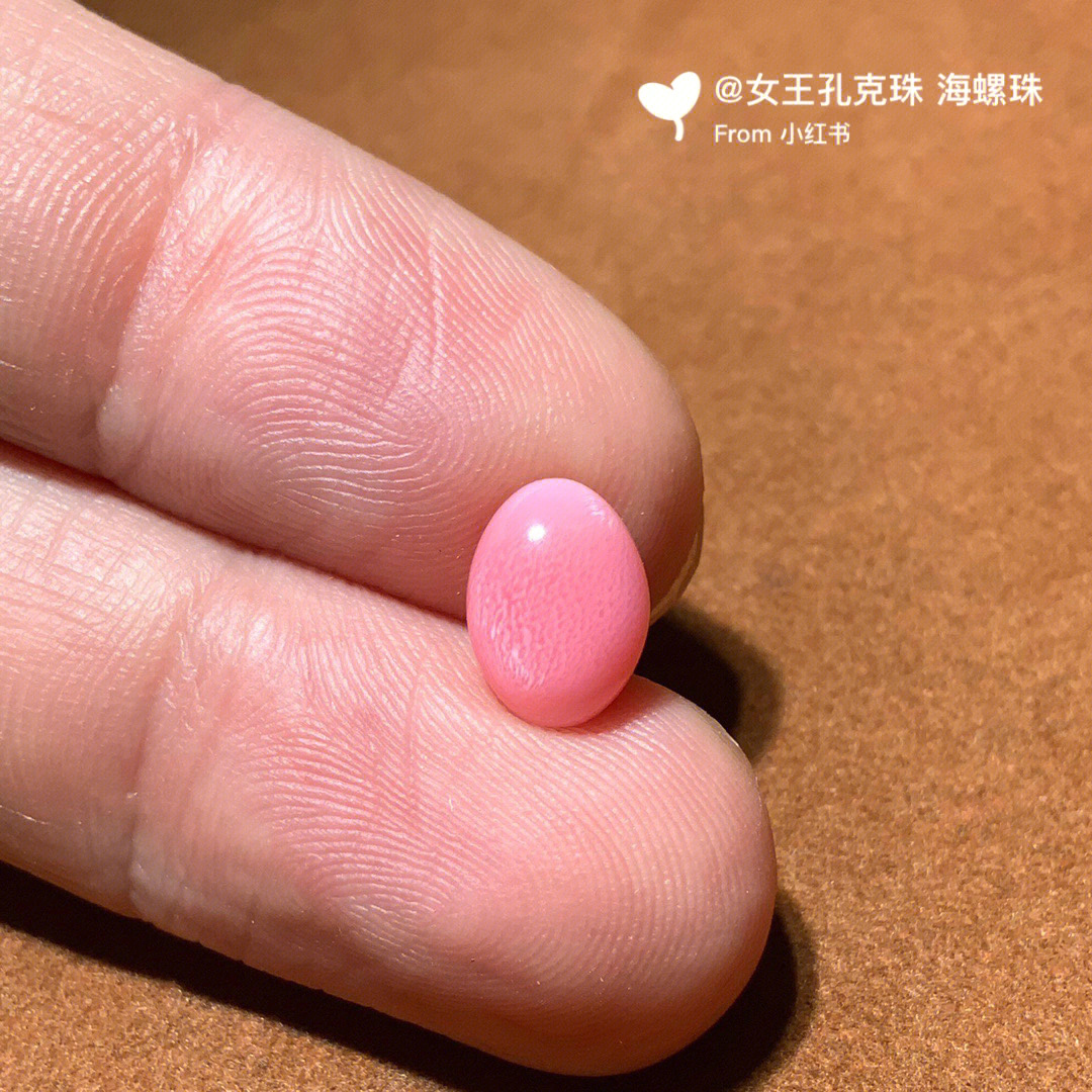 海螺珠小精品一枚2ct