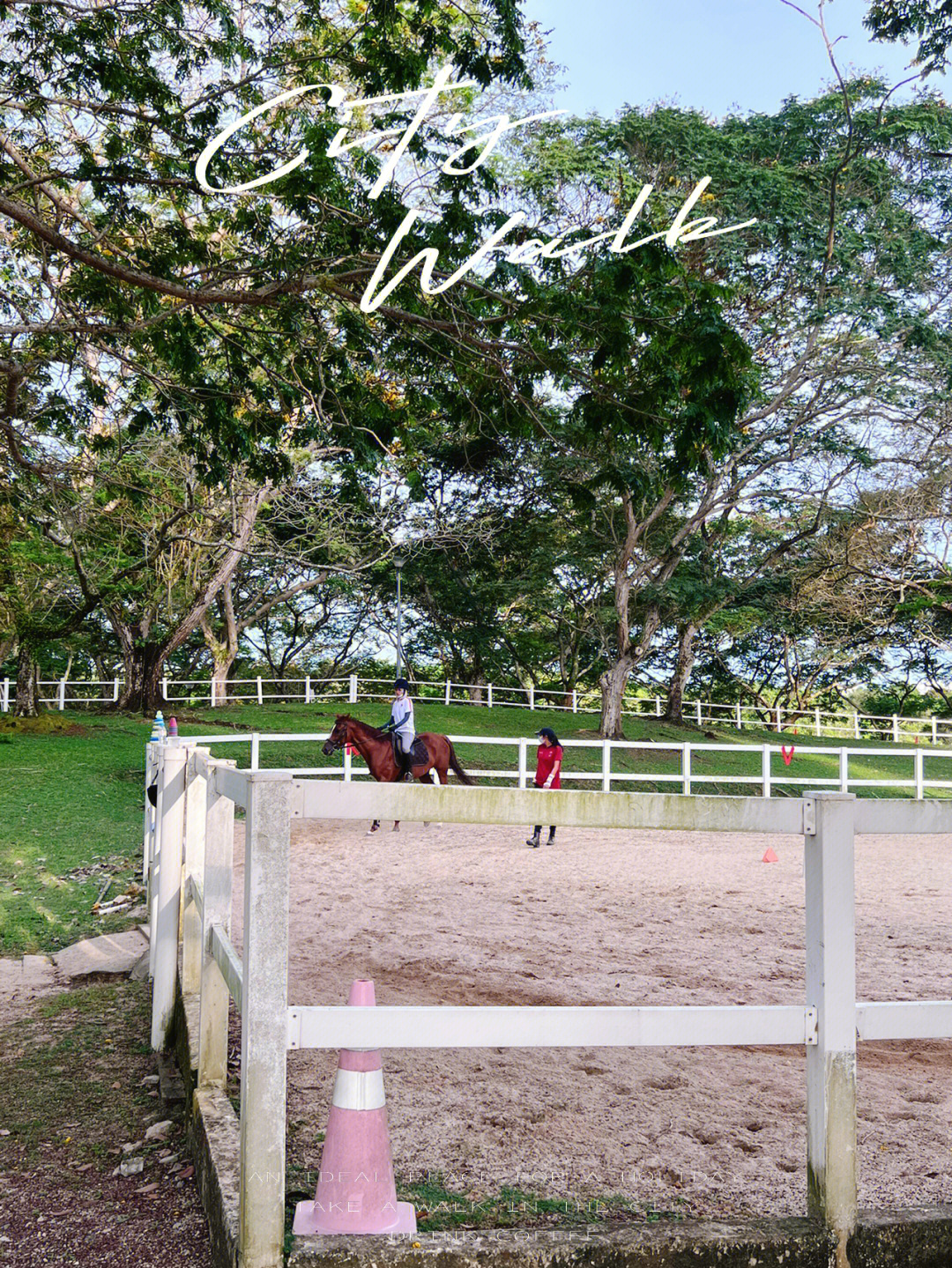 新加坡pasirris公园在海边骑马孩子最爱