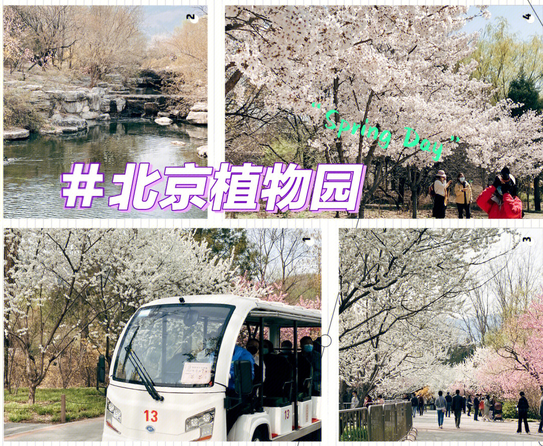 0110号线巴沟站换乘西郊线直达北京植物园东南门7099门票995