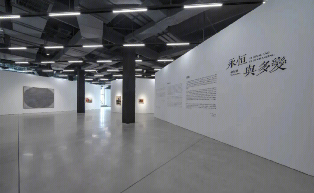 正在南京金鹰美术馆举办的余友涵个展永恒与多变呈现了艺术家近50年