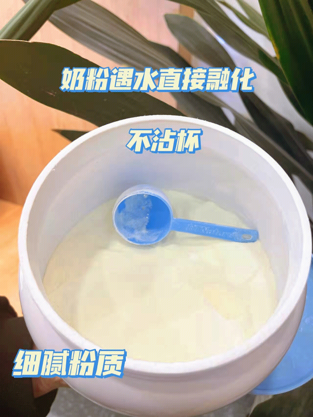 蓝胖子奶粉冲泡比例图片