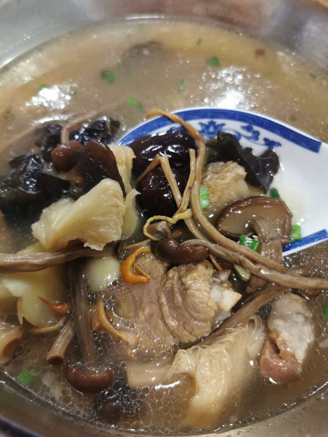 猴头菇茶树菇猪骨汤