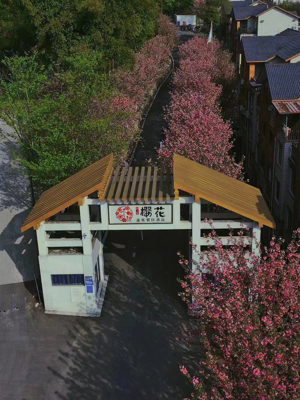 樱花温泉假日酒店电话图片