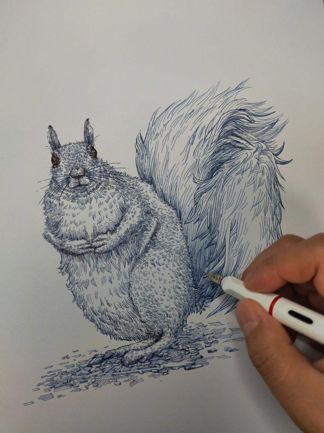 钢笔画动物简单图片